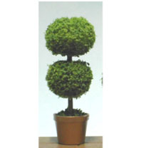 Dollhouse Miniature Topiary Small Round